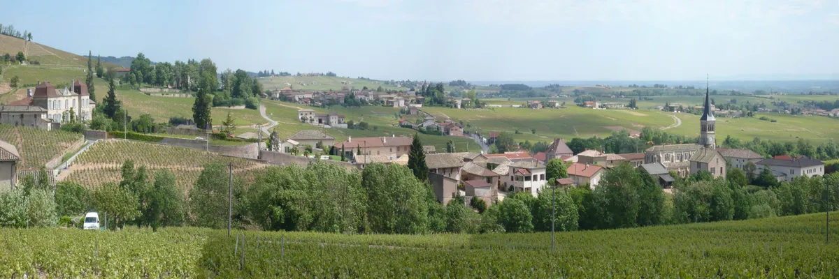 image-monte-escalier-chenas.webp Image Monte escalier Chénas