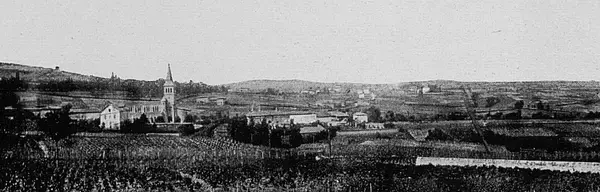 Monte Escalier 69 Monte escalier Chénas