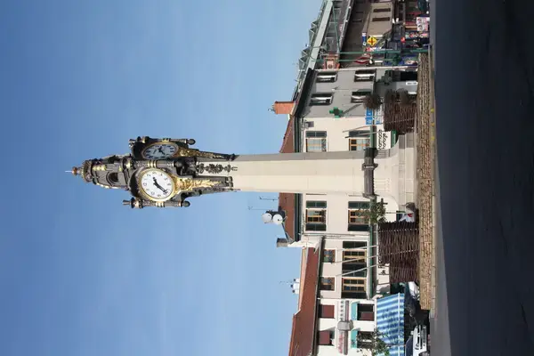 Monte Escalier 69 Monte escalier Tassin-la-Demi-Lune